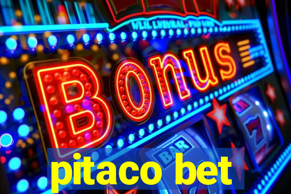 pitaco bet